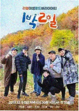 叶片几何概括与主脉倾斜角的辅助线示意